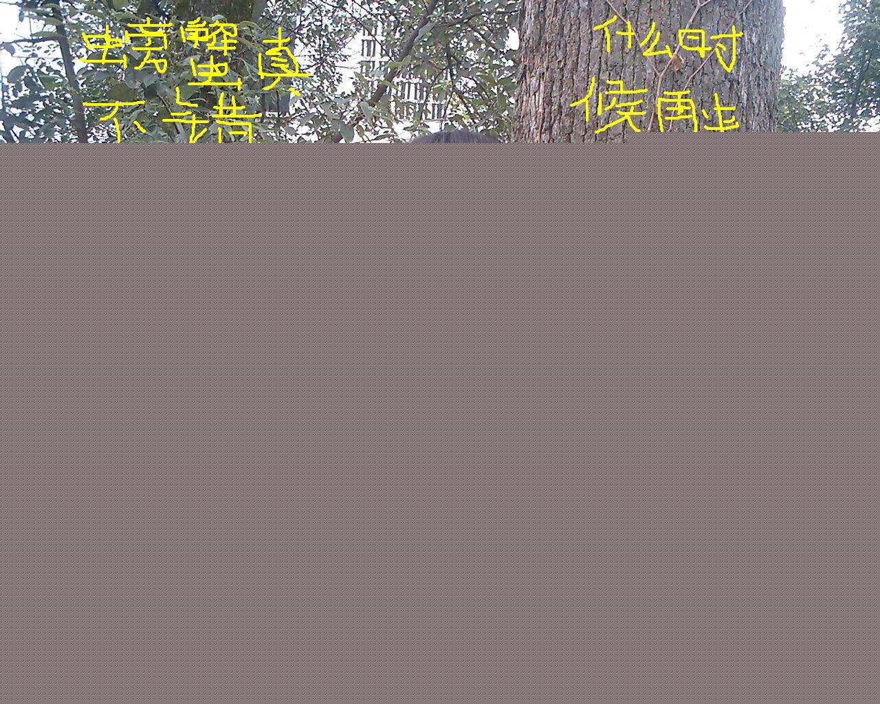 按此在新窗口打开图片