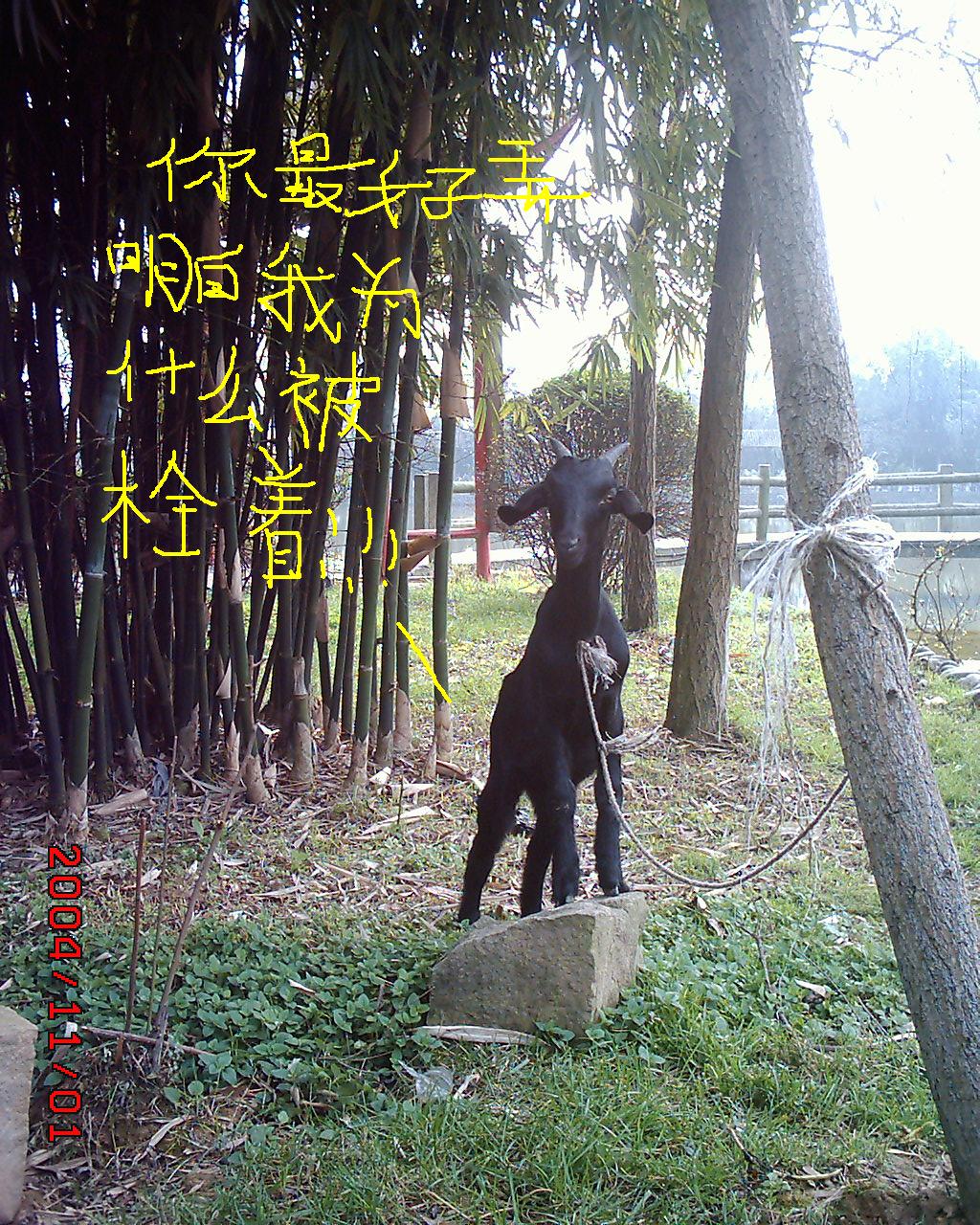 按此在新窗口打开图片